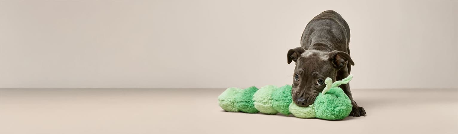 Pets at Home