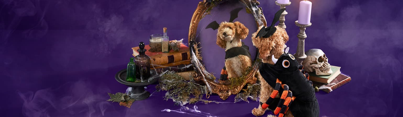 Pets at Home